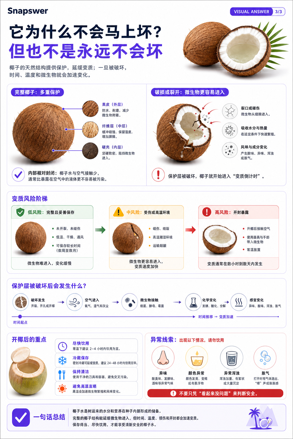 椰子里面为什么会有水？水从哪里来？水不会坏掉吗？ — Visual Answer page 3